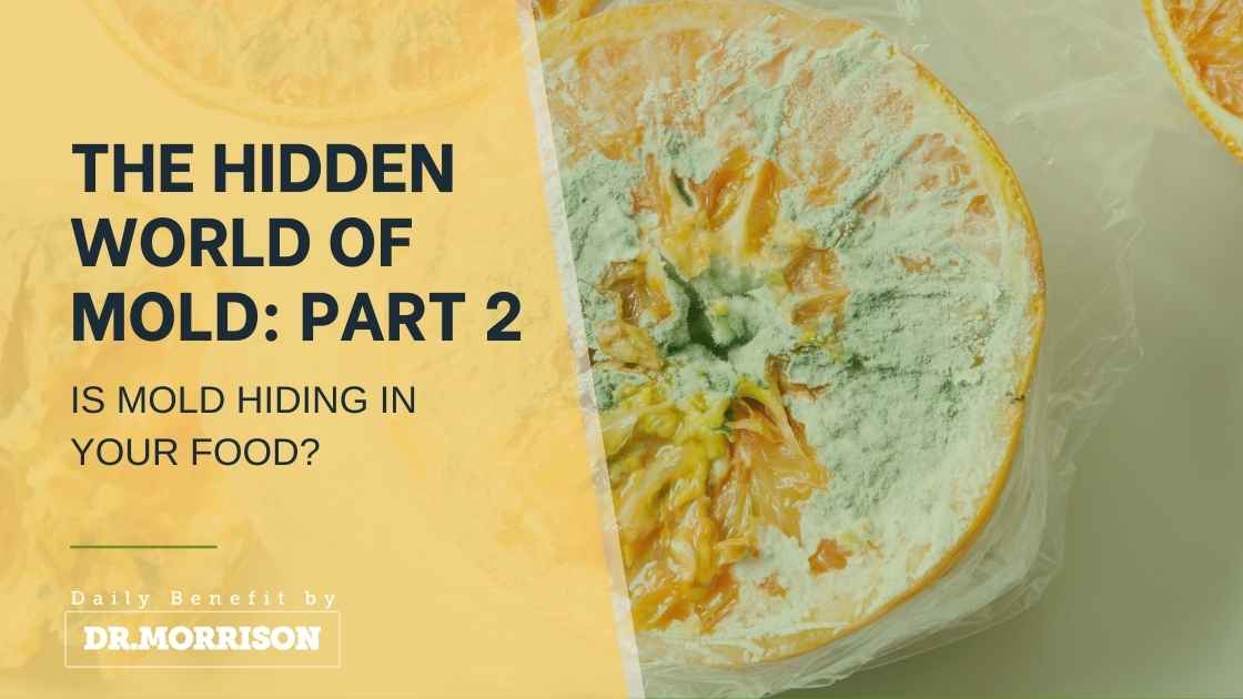 The Hidden World of Mold Part 2: Is Mold Hiding in Your Food?