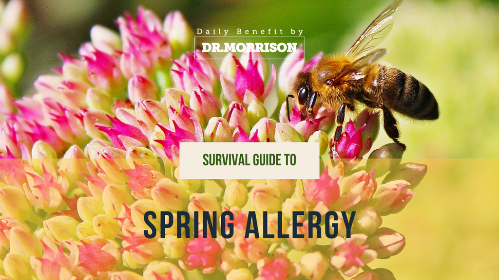 Addressing Allergies for Springtime Wellness
